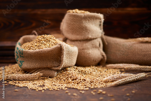 barley grain on the wooden background