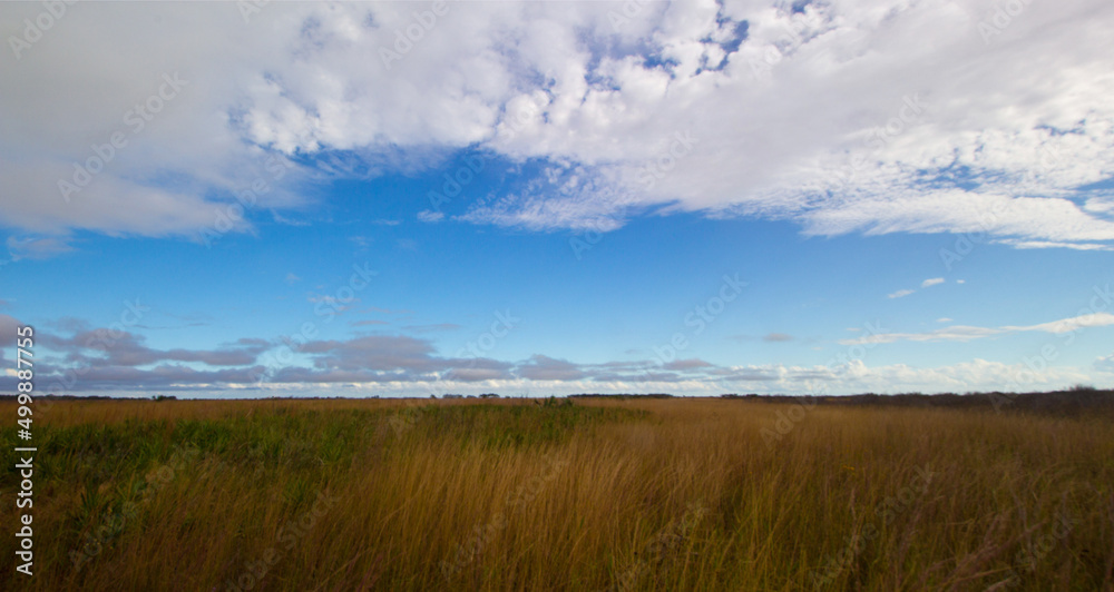 Views at Kissimmee Prairie Preserve State Park, Florida