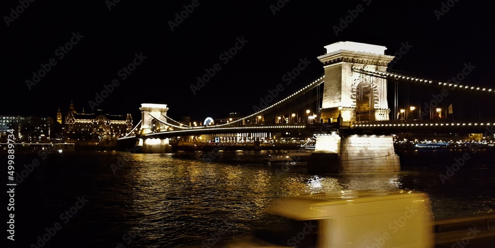 Naklejka premium Lion bridge