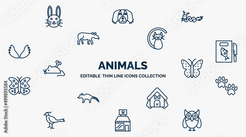 concept of animals web icons in outline style. thin line icons such as cute bunny head, japanese dragon, black cat, fish and knife, japanese butterfly, pawprint, dog house, pet shop, big eyes owl