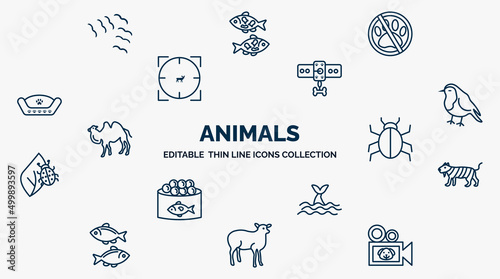 concept of animals web icons in outline style. thin line icons such as flock of birds, no dogs, leash, robin, app bug, smilodon, whale zone, lamb side view, documentary vector.