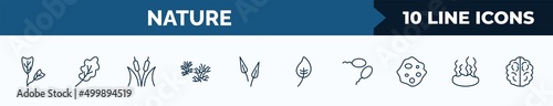 set of 10 nature web icons in outline style. thin line icons such as obcordate, oak leaf, reed bed, escuamiforme, subulate, apricot leaf leaf, fertilize clinic, fasciculate vector illustration.