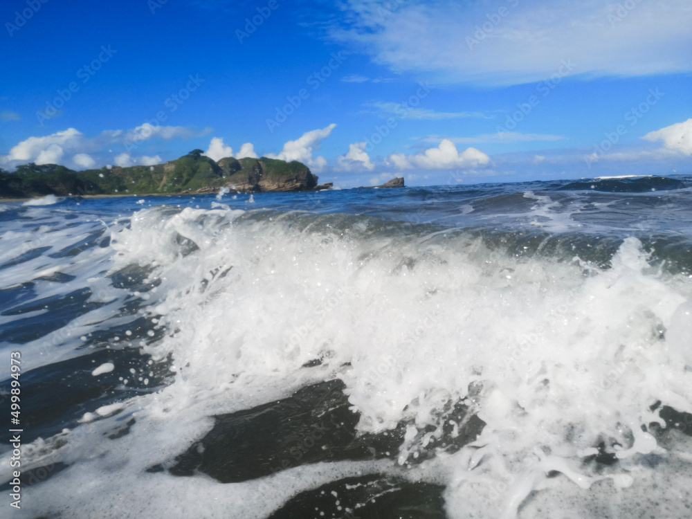 Obraz premium landscape with snow