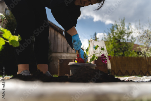 A woman is planting flowers in her backyard garden with planting tools during a sunny day