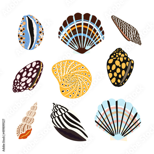 Sea shells, fossils and mollusks object set. Summer beach hand-drawn seaside vector print. Fashion bright multicolored illustration. Seashore elements design