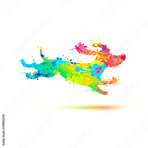 Running dachshund vector icon. Watercolor splash paint dog symbol