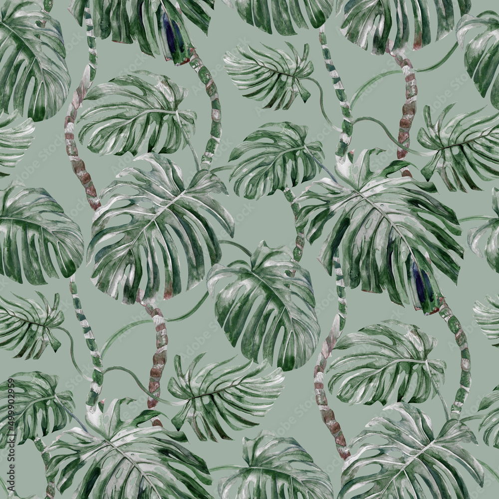 Seamless pattern with Monstera Home flower painted in watercolor on a green background