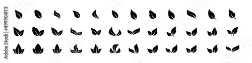 Different leaves shapes. Black leaves icon set isolated on white background. Foliage icons vector set. Eco leaves. Eco, bio sign logo. Vegeterian and vegan signs and sumbols. Vector graphic. EPS 10  photo