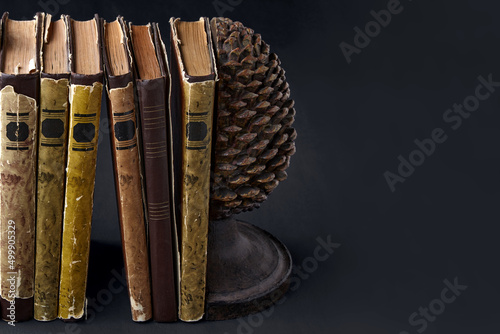 Принти на полотні Old dilapidated books stand between holders in the form of spit cones
