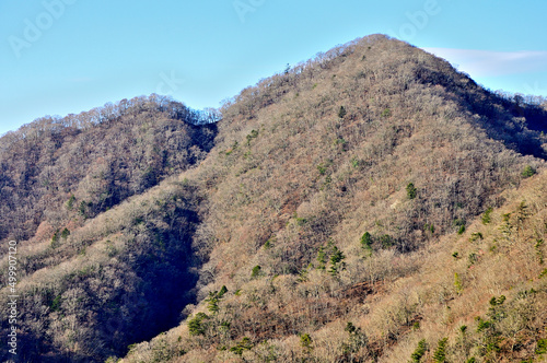 西丹沢の善六山山頂から畦ヶ丸を望む 