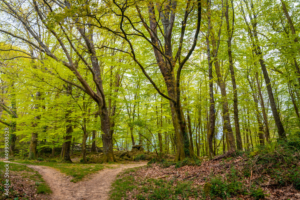 Path towards a beautiful dolmen in the Basque country next to trees. Errenteria, Gipuzkoa