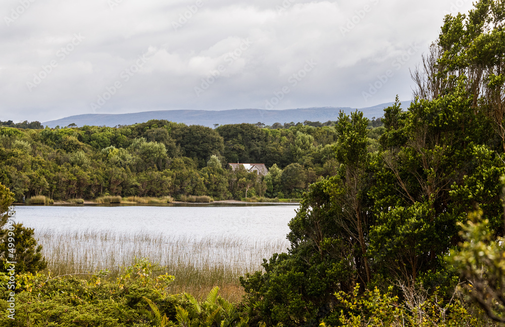 Landscape of a lake in the Chiloe National Park