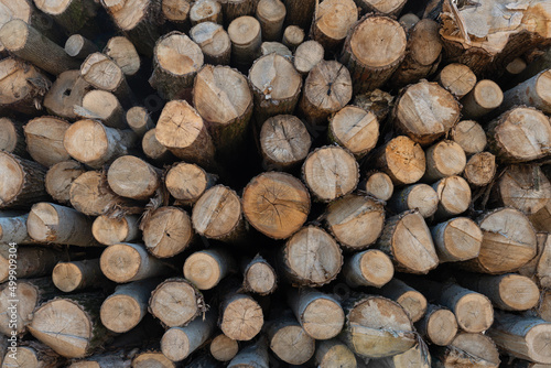 Logged tree trunks or pile of wood prepared for transport.