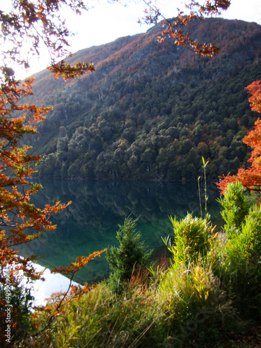 Fototapeta Naklejka Na Ścianę i Meble -  lago y otoño