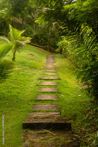 natural landscape in the city of Paraty  State of Rio de Janeiro  Brazil