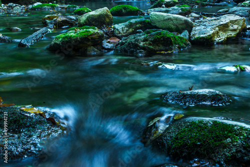 forest waterfall