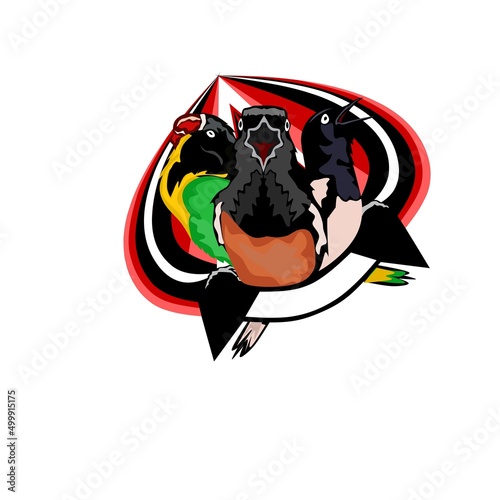 vector graphic illustration of lovebirds and other types of chirping birds. perfect for bird logo design.