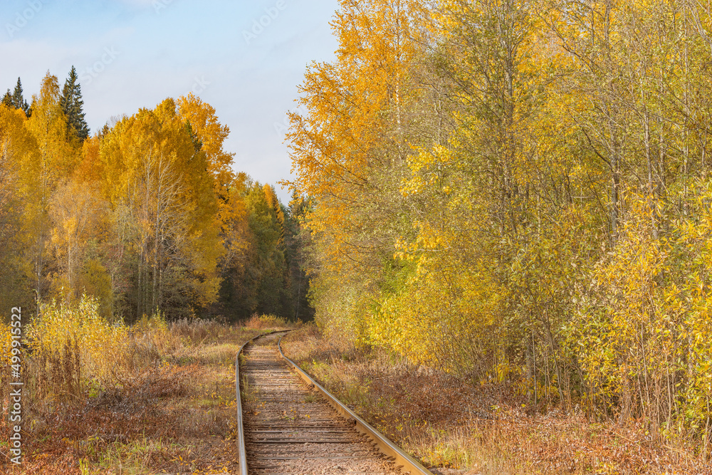 Long railway line in the forest at autumn day.