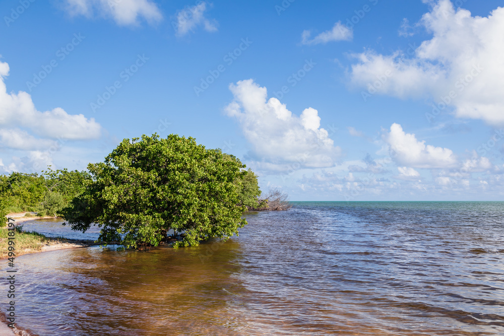 Long Key State Park in the Florida Keys, USA. Long Key State Park in the Florida Keys, USA.
