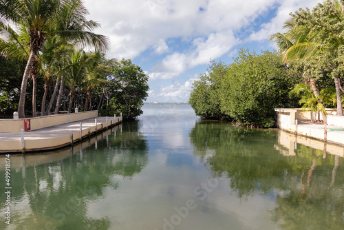 Marina with boats in background in the Florida Keys.