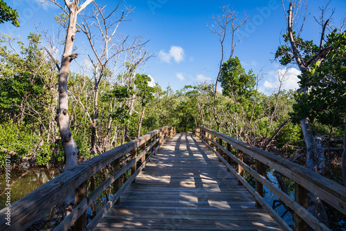 Long Key State Park in the Florida Keys, USA.