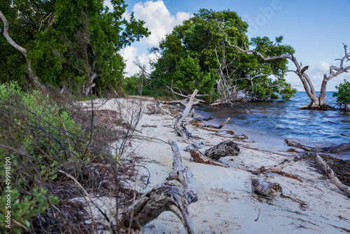Long Key State Park in the Florida Keys, USA.