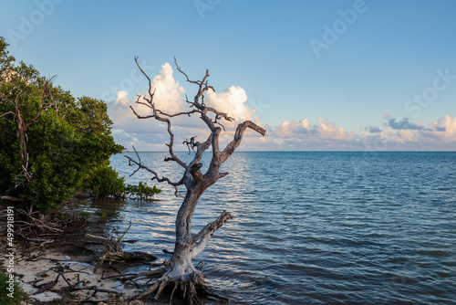Anne’s Beach in Islamorada, Florida in the Florida Keys, USA.