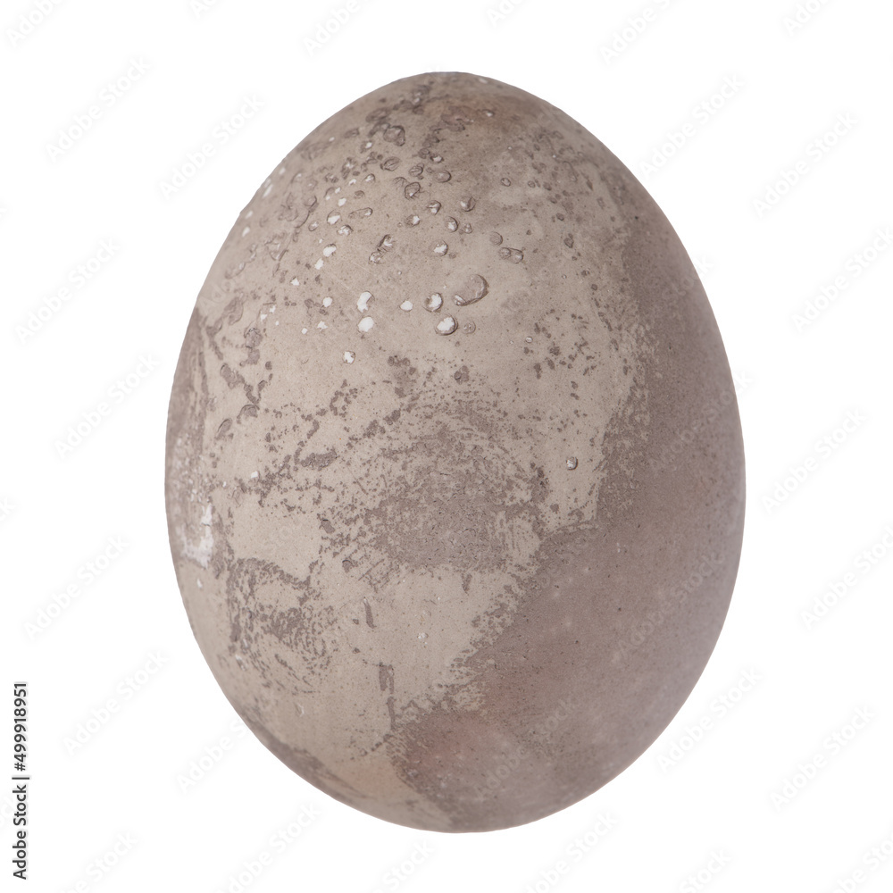Grey egg isolated Grey egg isolated
