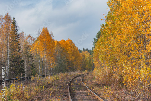 Long railway line in the forest at autumn day.