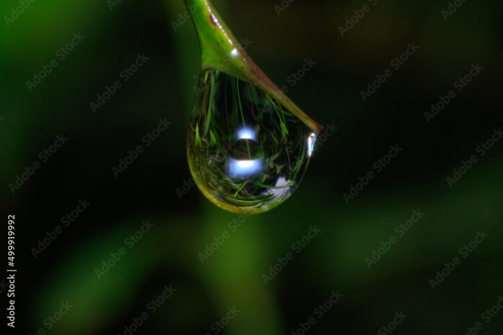 drop of water drop of water