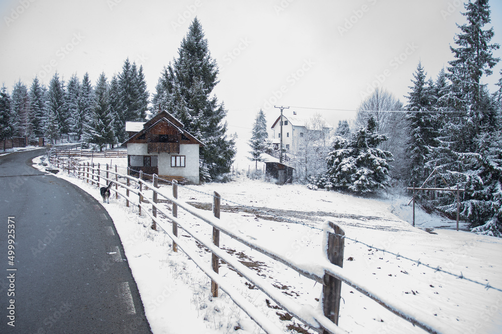 Winter landscape at Piatra Fantanele, Tihuta, Bistrita, Romania, April 2022
