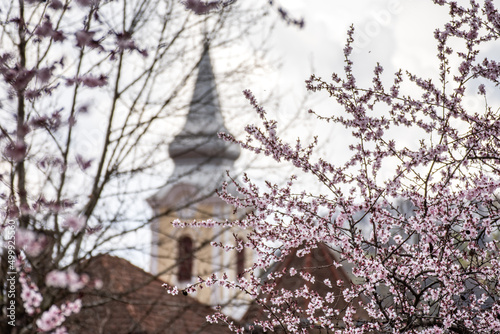 ..spring landscape, BISTRITA, Romania, Roman Catholic Church tower background in April, 2022
