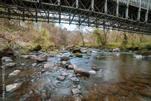 Carron Glen Wildlife Reserve, Scotland, UK is a beautiful native oak and ash woodland along a steep-sided gorge carved by the River Carron. The river provides prime fishing for dippers and kingfishers photo