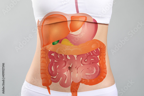 Obraz na plátne Woman with drawn digestive system on light background, closeup