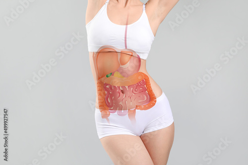 Young woman with drawn digestive system on light background photo