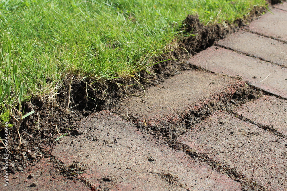 Red brick stone path appeared after remove the lawn in the yard Red brick stone path appeared after remove the lawn in the yard