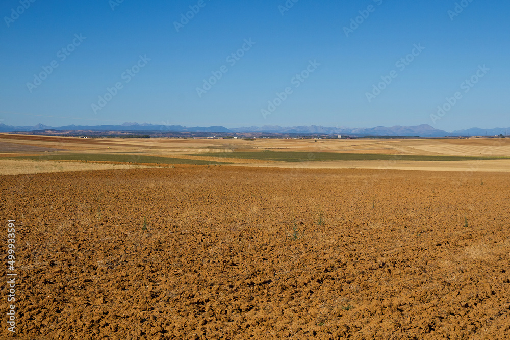 Landscape with flat farmland and mountains in the background, in summer