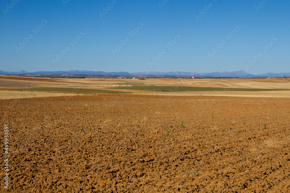 Landscape with flat farmland and mountains in the background, in summer Landscape with flat farmland and mountains in the background, in summer