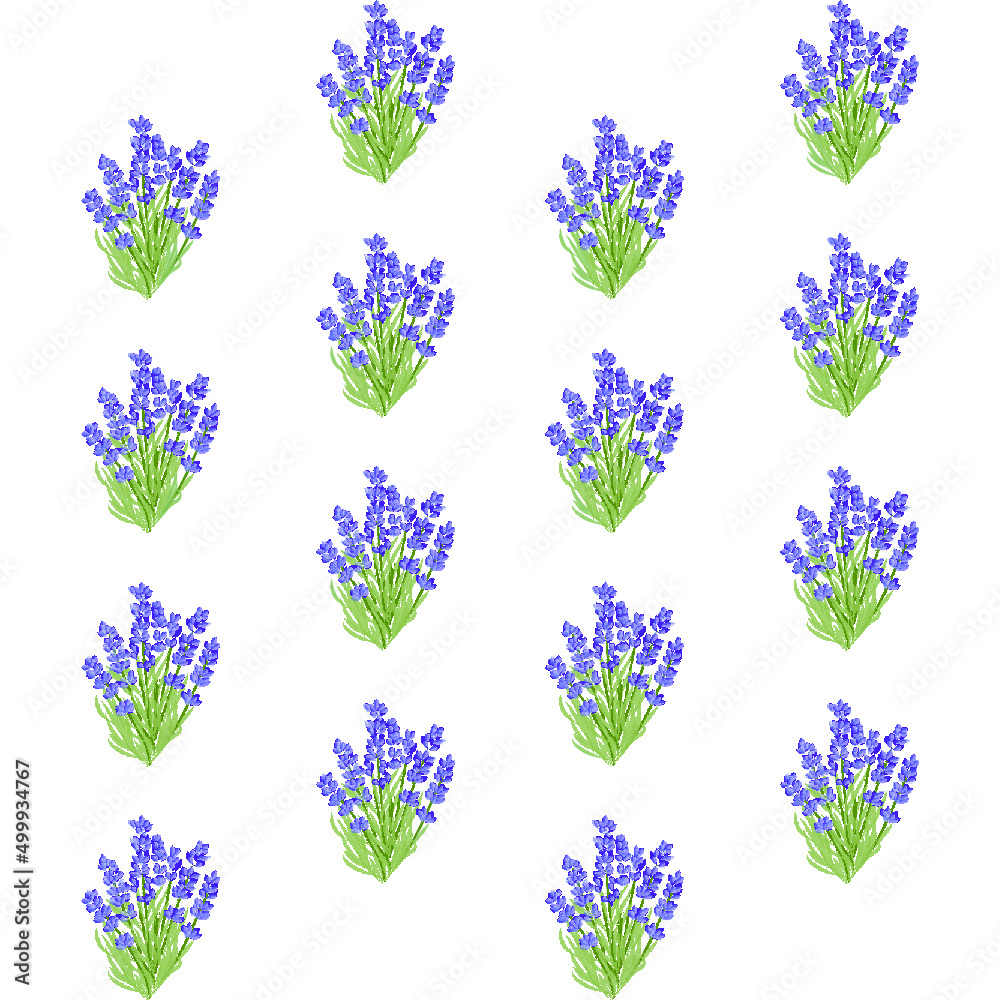 patron Ilustración ramo de flor de lavanda dibujo a mano