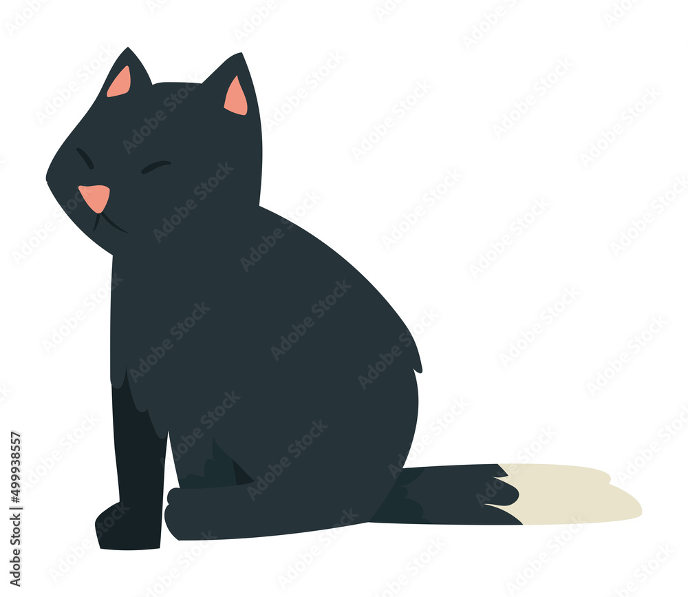 black cat mascot
