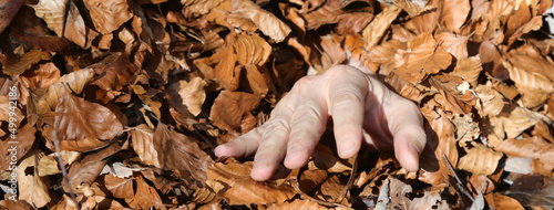 helpless hand of man submerged by the dry fallen leaves