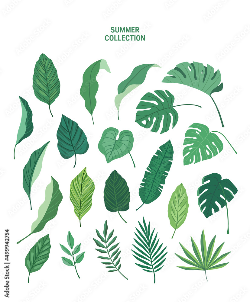 Fototapeta premium Summer sets collection. Vector illustration of summer symbols