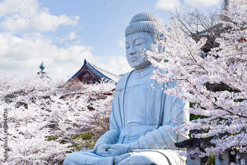 桜大仏