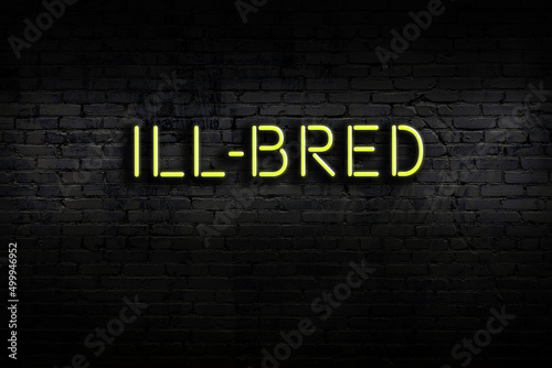 Neon sign. Word ill-bred against brick wall. Night view