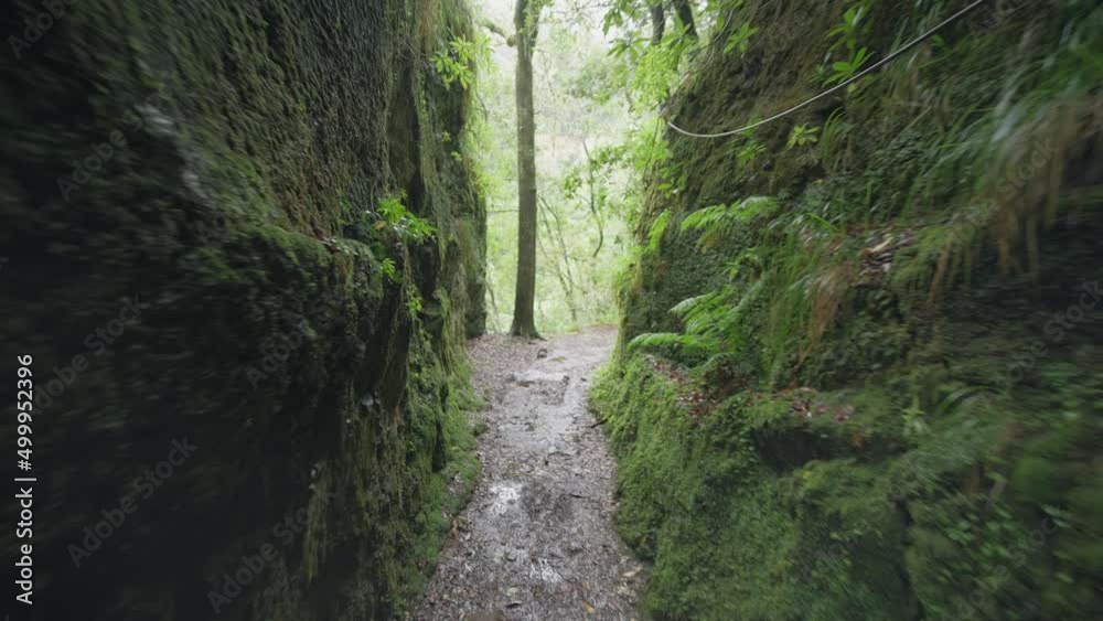 Female Hiker walking through wet moss covered canyon on Madeira island Female Hiker walking through wet moss covered canyon on Madeira island