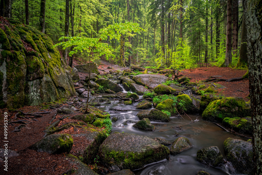 Green Waterfall River Rocks Covered With Green Moss Forest Waterfall. forest with a waterfall. Quiet and pleasant environment for tourism. Forest area with watercourse in Bavaria Germany Green Waterfall River Rocks Covered With Green Moss Forest Waterfall. forest with a waterfall. Quiet and pleasant environment for tourism. Forest area with watercourse in Bavaria Germany