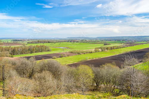View of a beautiful rural landscape with lush trees in the spring