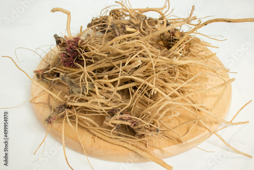 Achyranthes roots, medicinal plants, healthy food, medicinal herbs.	 photo