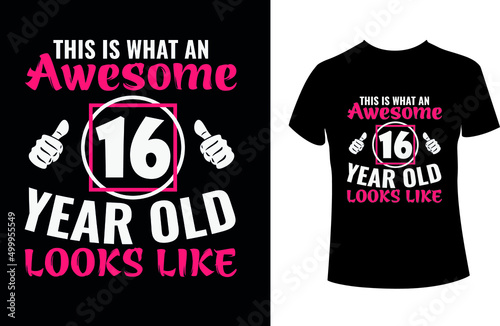 This is what an awesome 16 year old looks like- A birthday t-shirt.