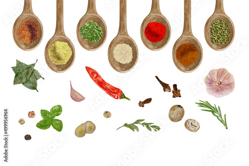 Watercolor dry kitchen spices in wooden spoon: basil, pepper, chili, curcuma, ginger, cardamom, nutmeg